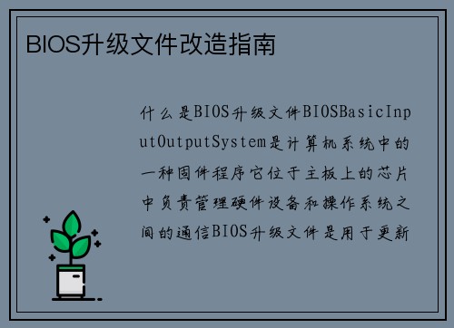 BIOS升级文件改造指南